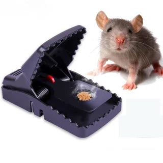 Rat Trap Mouse