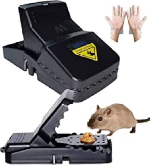 Rat Trap Mouse
